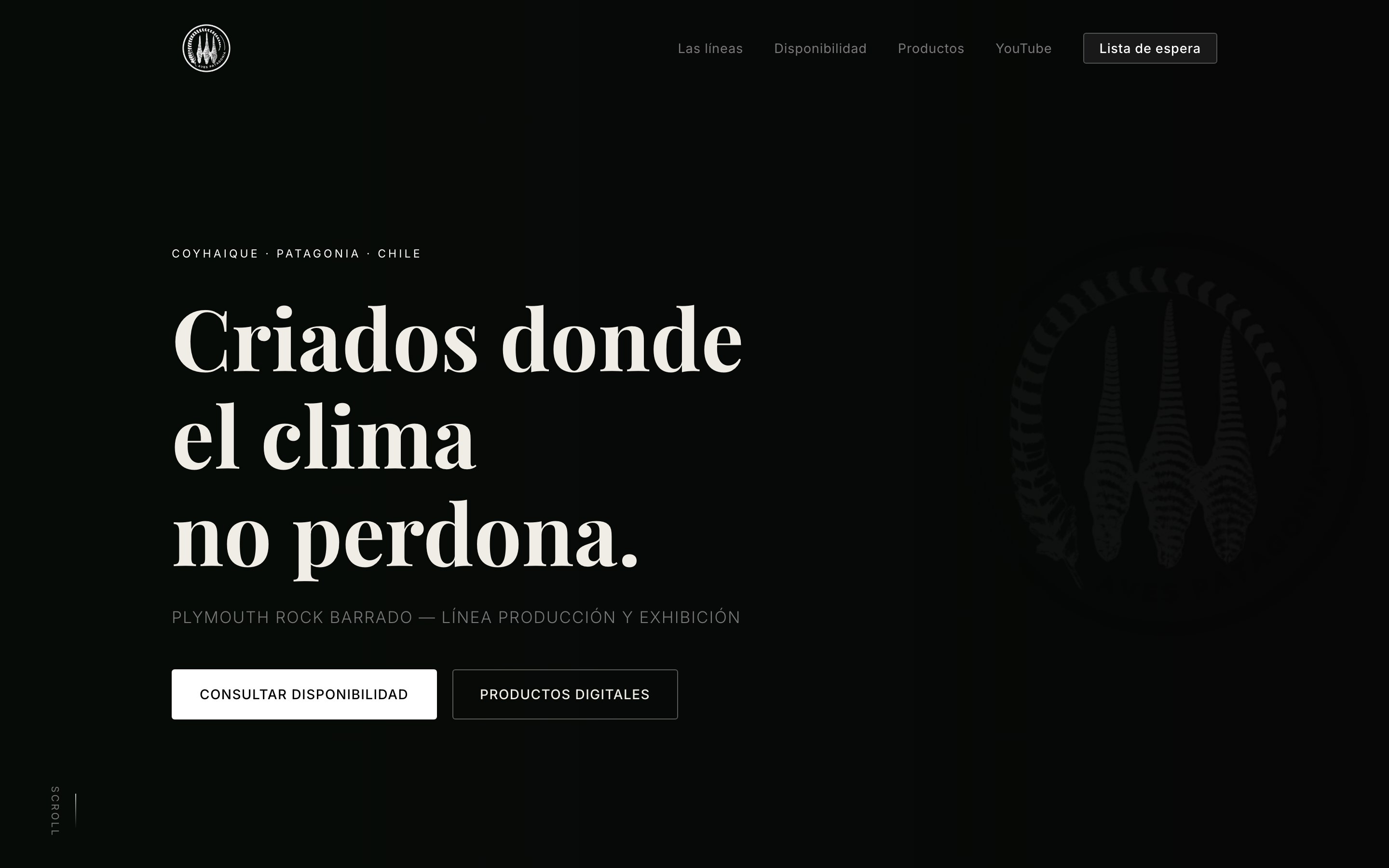 avespatagonia.cl